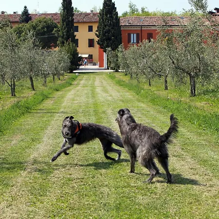 Lantgård La Filanda *
